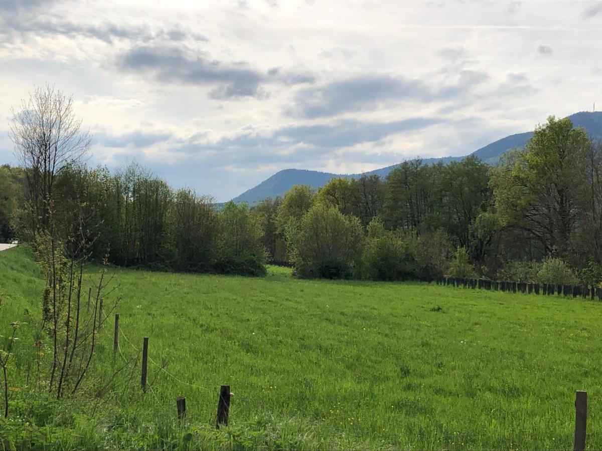 Aux Souvenirs D'Anaelle Gites 5 Personnes Sainte-Marie-aux-Mines Exteriör bild
