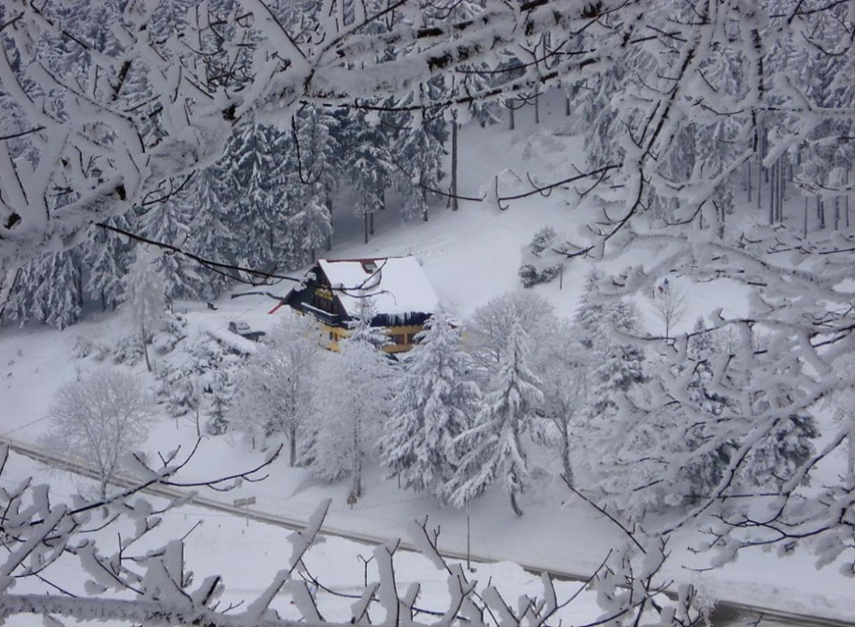 Aux Souvenirs D'Anaelle Gites 5 Personnes Sainte-Marie-aux-Mines Exteriör bild