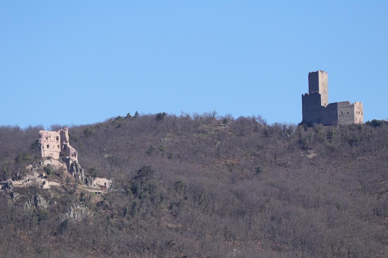 Aux Souvenirs D'Anaelle Gites 5 Personnes Sainte-Marie-aux-Mines Exteriör bild