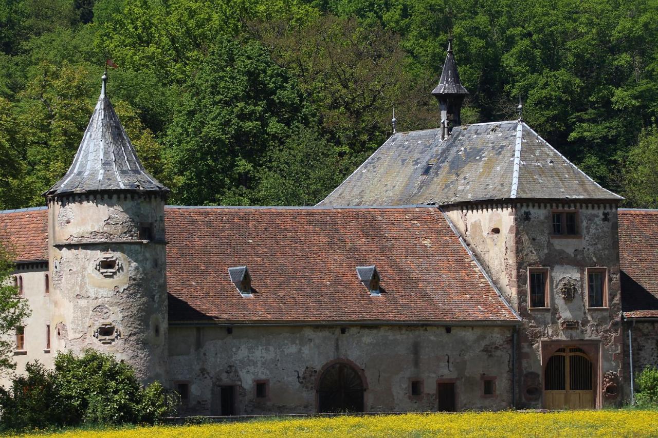 Aux Souvenirs D'Anaelle Gites 5 Personnes Sainte-Marie-aux-Mines Exteriör bild