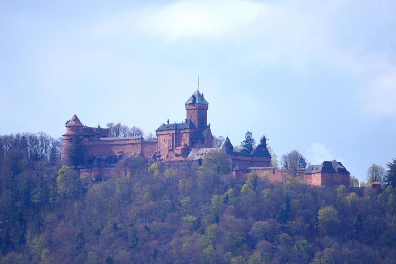Aux Souvenirs D'Anaelle Gites 5 Personnes Sainte-Marie-aux-Mines Exteriör bild